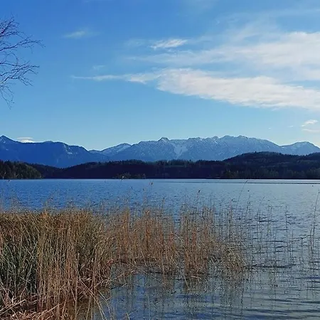 Mit Alpen Blick 公寓 *