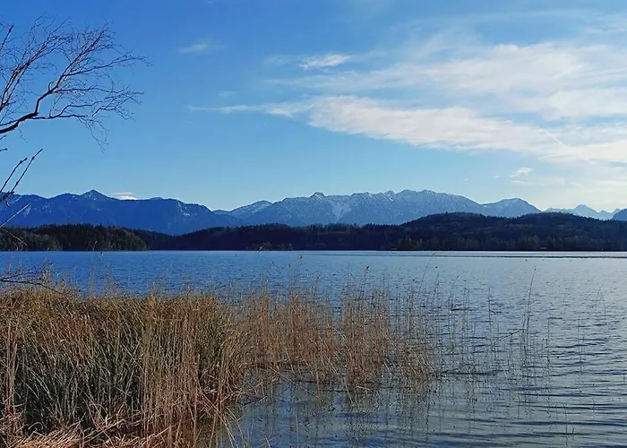 Mit Alpen Blick 公寓 *